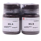 G2014 2*50ml ECL Chemiluminescence Kit for Protein Detection