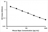 Mouse C-Type Natriuretic Peptide ELISA Kit (CNP) (RK02693)