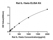 Rabbit anti-Rat IL-1 β mAb (CAP) (RM17833)