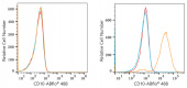ABflo® 488 Rabbit anti-Human CD10 mAb (A22306)