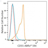 ABflo® 594 Rabbit anti-Human/Mouse CD55/DAF mAb (A23899)