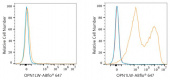 ABflo® 647 Rabbit anti-Human OPN1LW/OPN1MW mAb (A24371)