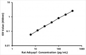 Rat Pituitary adenylate cyclase-activating polypeptide (Adcyap1) ELISA Kit (RK08026)