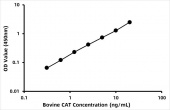 Bovine Catalase (CAT) ELISA Kit (RK06453)