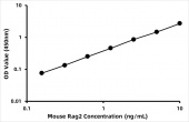 Mouse V(D)J recombination-activating protein 2 (Rag2) ELISA Kit (RK08334)