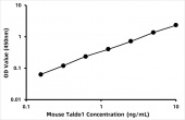 Mouse Transaldolase (Taldo1) ELISA Kit (RK06369)
