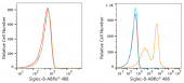 ABflo® 488 Rabbit anti-Human Siglec-8 mAb (A22189)
