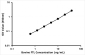 Bovine Ferritin light chain (Ferritin light chain/FTL)  ELISA Kit (RK08892)