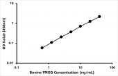 Bovine Fibromodulin (FMOD) ELISA Kit (RK08225)