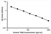 General Thromboxane B2 ELISA Kit (TXB2) (RK00729)