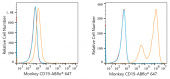 ABflo® 647 Rabbit anti-Human/Monkey CD19 mAb (A23009)