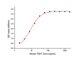 Recombinant Mouse TIGIT Protein (RP01516LQ)