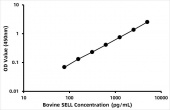 Bovine L-selectin (SELL) ELISA Kit (RK06175)