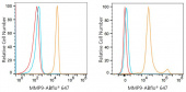 ABflo® 647 Rabbit anti-Human MMP9 mAb (A23733)