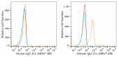 ABflo® 488 Rabbit anti-Human IgG (Fc) mAb (A22504)