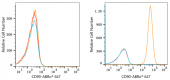 ABflo® 647 Rabbit anti-Human CD90/Thy1 mAb (A22511)