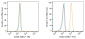 ABflo® 594 Rabbit anti-Human CD80/B7-1 mAb (A23731)