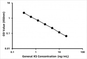 General Keratan sulfate ELISA Kit (RK07043)
