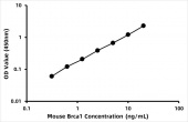 Mouse Breast cancer type 1 susceptibility protein homolog (Brca1) ELISA Kit (RK07433)