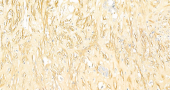 GB12091 Anti -Fibronectin Mouse Monoclonal Antibody