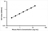 Mouse AdoMet synthase 1 (Mat1a) ELISA Kit (RK06460)