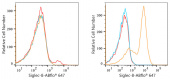 ABflo® 647 Rabbit anti-Human Siglec-8 mAb (A22190)