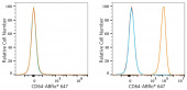 ABflo® 647 Rabbit anti-Mouse FcγRI/CD64 mAb (A23856)