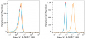 ABflo® 488 Rabbit anti-Human Galectin 3 mAb (A23016)