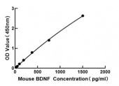 ИФА набор для определения BDNF мыши (Mouse Brain Derived Neurotrophic Factor ELISA Kit (BDNF)), ABclonal