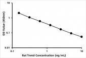 Rat Tenomodulin (Tnmd) ELISA Kit (RK07488)