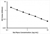 Rat Receptor-type tyrosine-protein phosphatase alpha (Ptpra) ELISA Kit (RK07453)