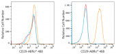 ABflo® 488 Rabbit anti-Human Integrin-β1/CD29 mAb (A22191)