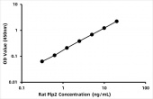 Rat Proteolipid protein 2 (Plp2) ELISA Kit (RK07910)