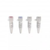 Рекомбинантная SUMO протеаза с Ulp1 His-tag (Recombinant SUMO Protease with Ulp1 His-tag), 2000 ед