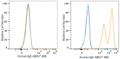 ABflo® 488 Rabbit anti-Human IgE mAb (A23696)