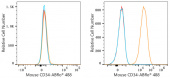 ABflo® 488 Rabbit anti-Mouse CD34 mAb (A23107)