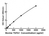 Bovine Transforming Growth Factor Beta 1 ELISA Kit (TGFb1) (RK04050)