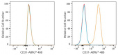 ABflo® 488 Rabbit anti-Mouse CD31 mAb (A23701)