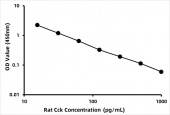 Rat Cholecystokinin ELISA Kit (CCK) (RK03555)